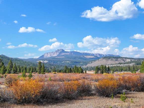 1.33 Acres of Residential Land for Sale in Dubois, Wyoming