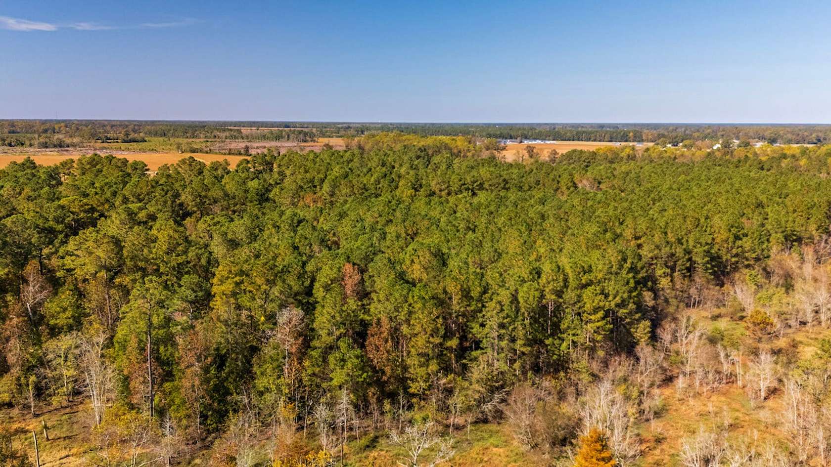 65 Acres of Recreational Land for Sale in Beulaville, North Carolina