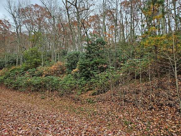 7.74 Acres of Land for Sale in Bastian, Virginia