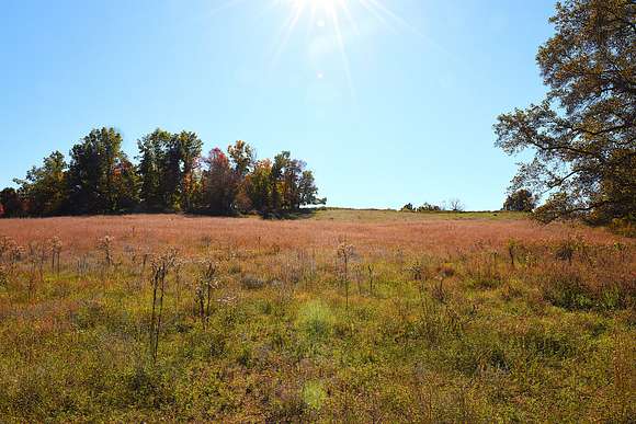 22.31 Acres of Land for Sale in Edmonton, Kentucky