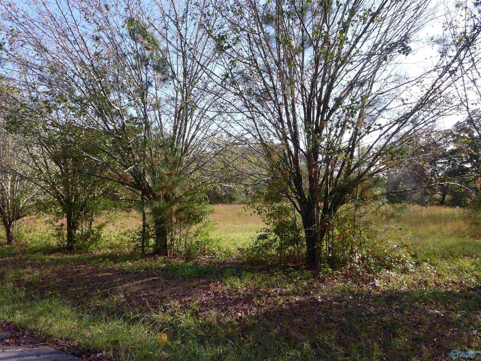 Land for Sale in Arab, Alabama