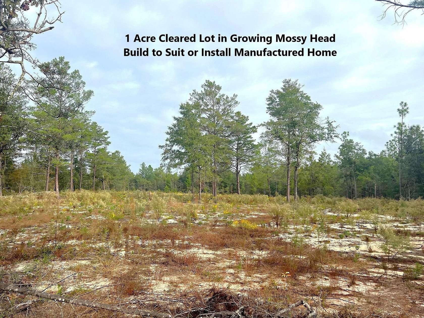 1 Acre of Land for Sale in DeFuniak Springs, Florida