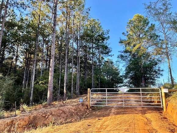 35 Acres of Recreational Land for Sale in Poplarville, Mississippi