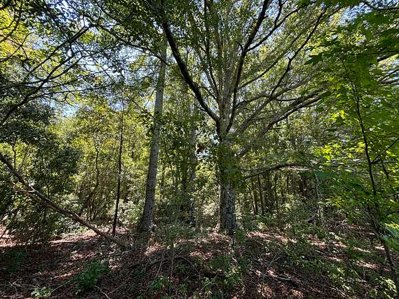 10.08 Acres of Land for Sale in St. Stephen, South Carolina