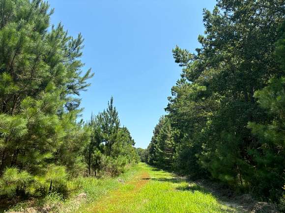 10.08 Acres of Land for Sale in St. Stephen, South Carolina