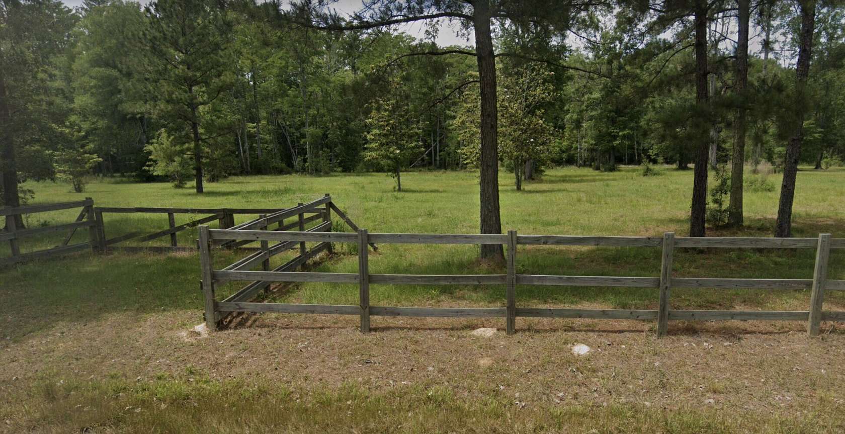 1 Acre of Residential Land for Sale in Livingston, Louisiana