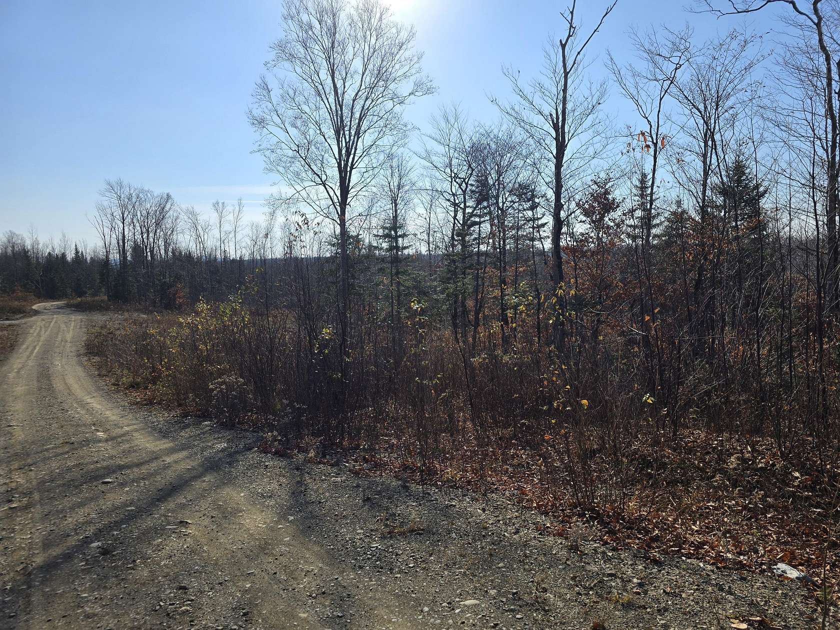 12 Acres of Land for Sale in Amity Town, Maine