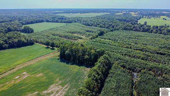 188 Acres of Recreational Land for Sale in Paducah, Kentucky