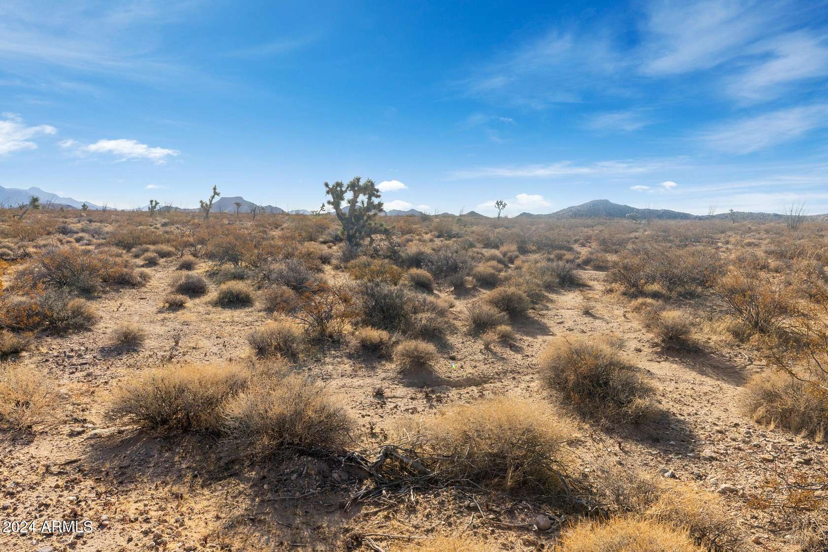 38.7 Acres of Land for Sale in Yucca, Arizona