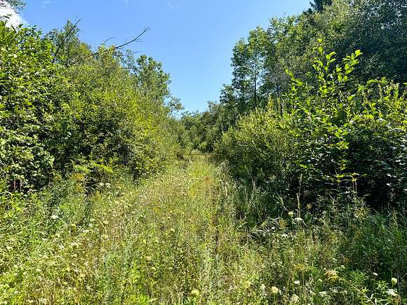 60 Acres of Land for Sale in Bucksport, Maine