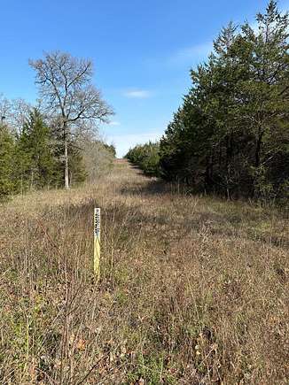 40 Acres of Recreational Land & Farm for Sale in Valliant, Oklahoma