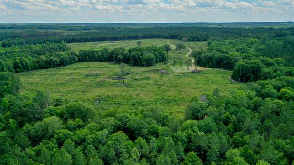 582 Acres of Recreational Land & Farm for Sale in Chauncey, Georgia