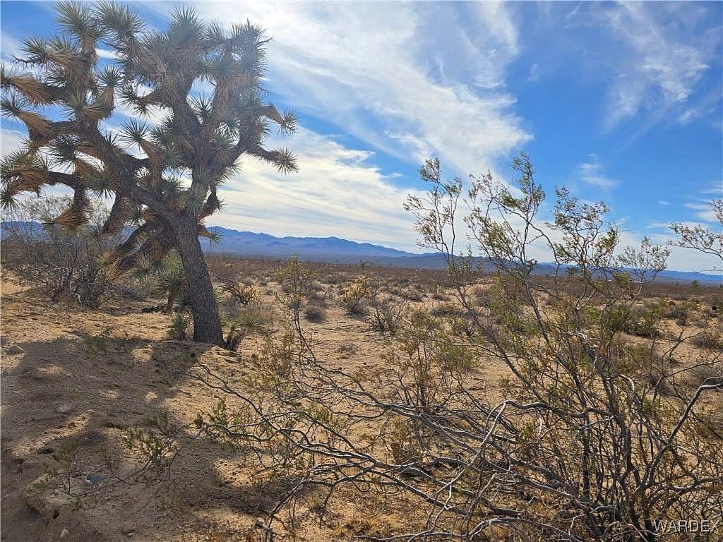 320 Acres of Recreational Land for Sale in Yucca, Arizona