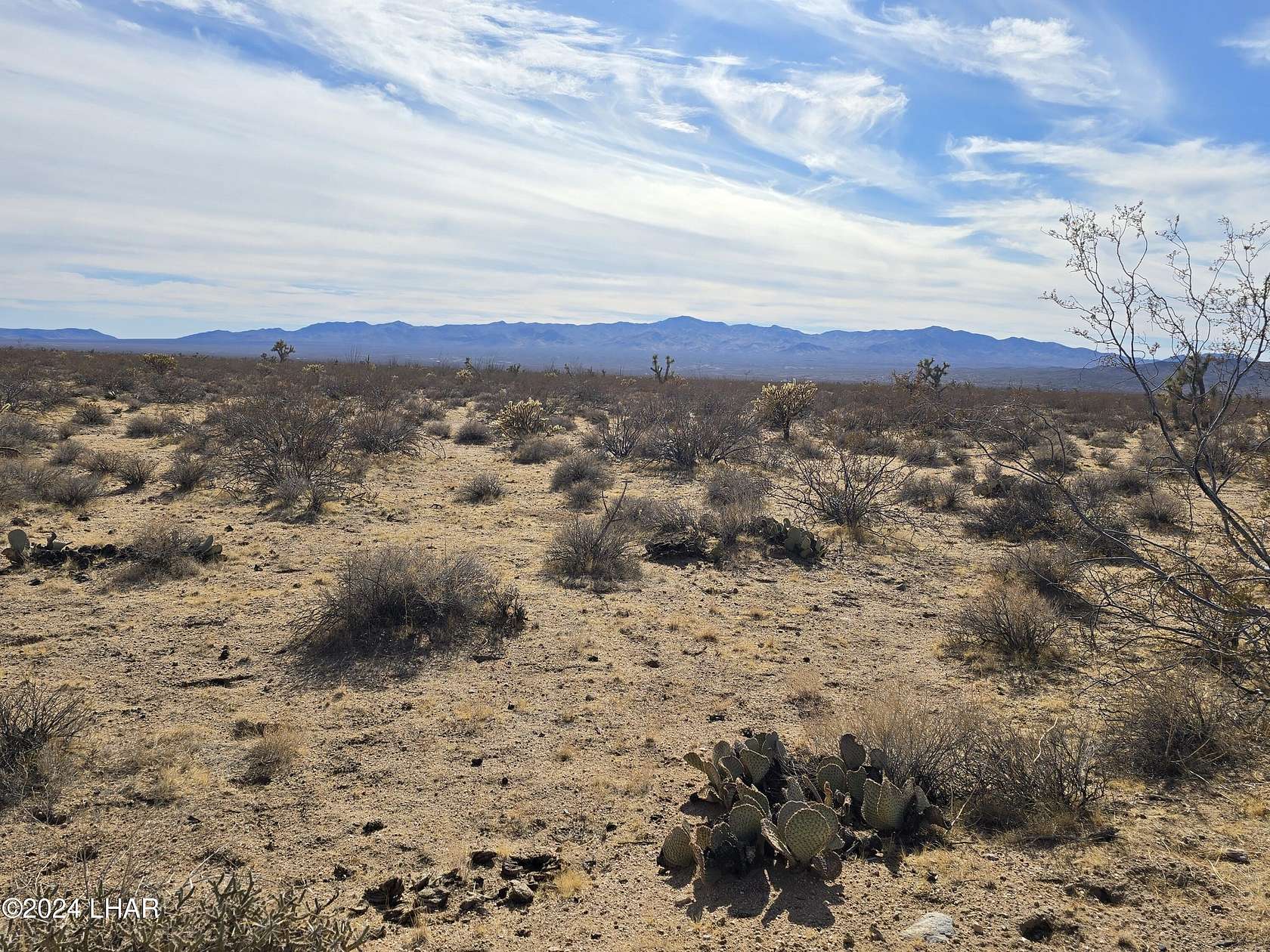 320 Acres of Recreational & Residential Land for Sale in Yucca, Arizona