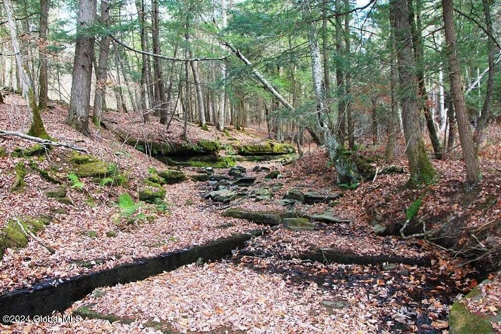 16.6 Acres of Recreational Land for Sale in Middleburgh, New York