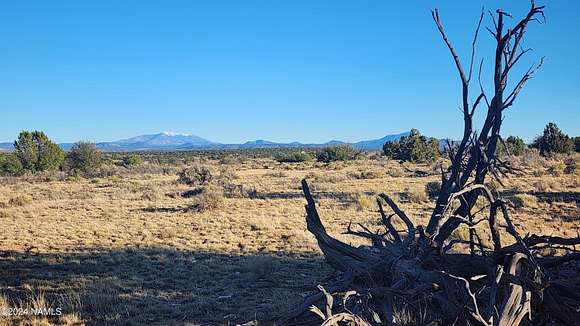 36.03 Acres of Recreational Land for Sale in Williams, Arizona