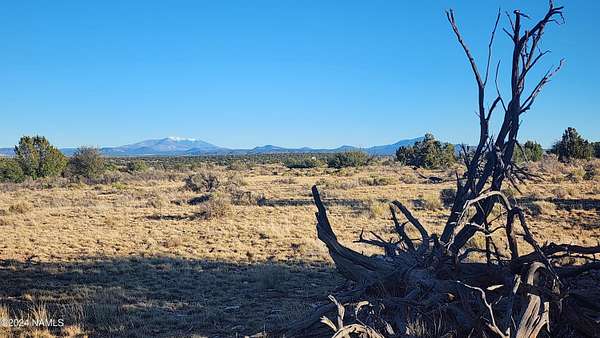 36 Acres of Recreational Land for Sale in Williams, Arizona