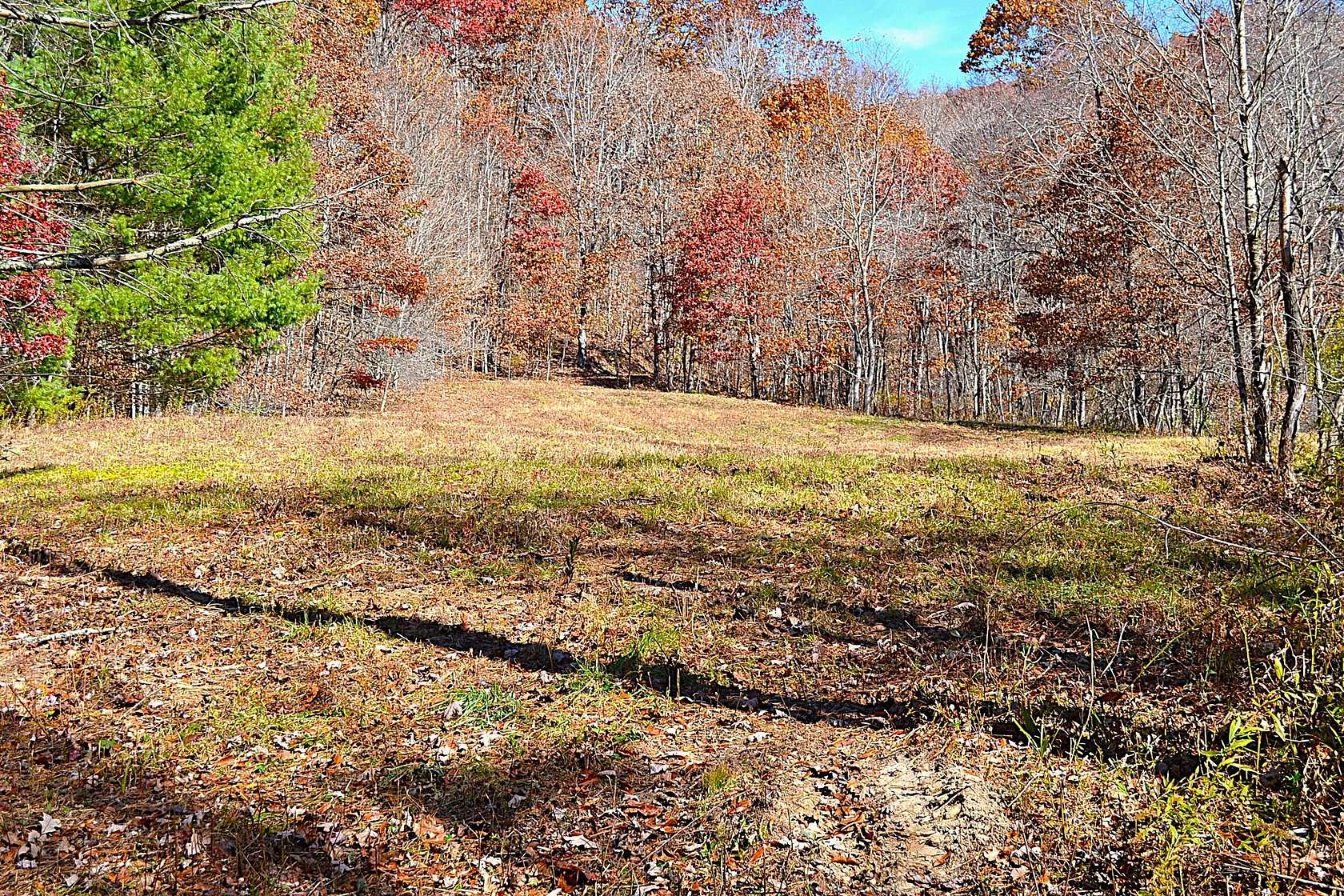 48.71 Acres of Recreational Land for Sale in Rainelle, West Virginia