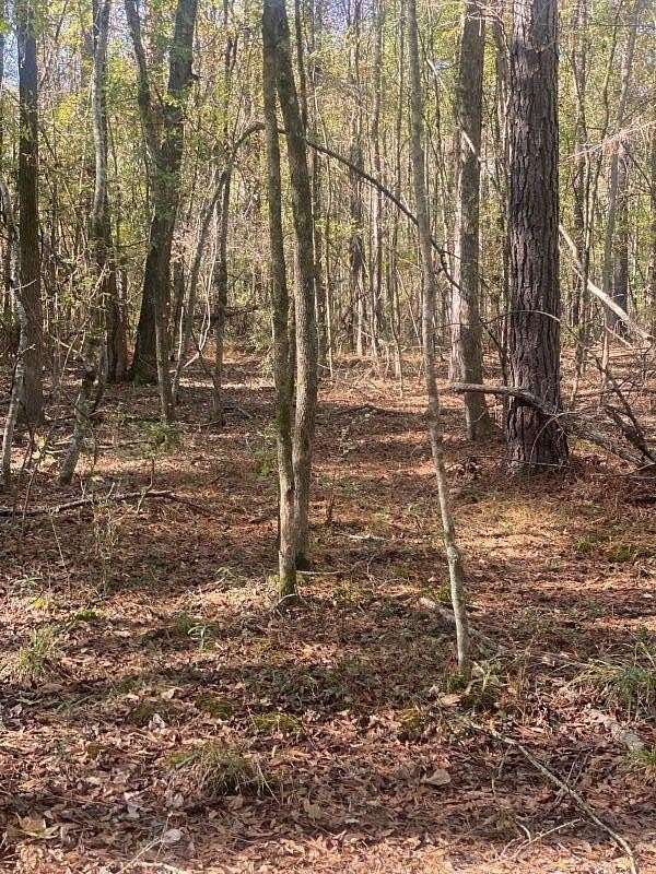 3.7 Acres of Residential Land for Sale in West Point, Mississippi