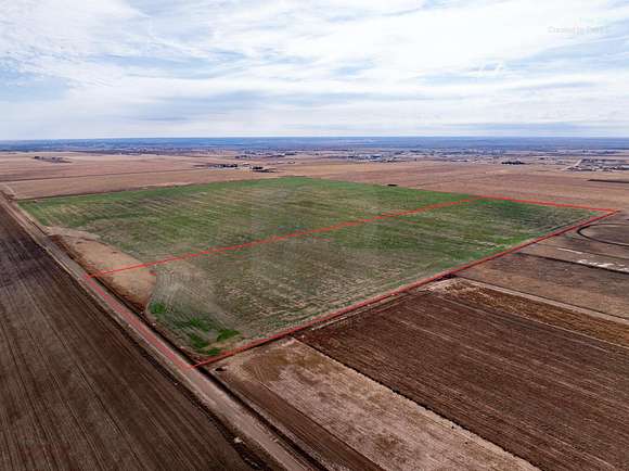 40 Acres of Agricultural Land for Sale in Canyon, Texas