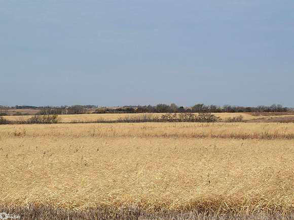 152 Acres of Recreational Land & Farm for Sale in Ellston, Iowa