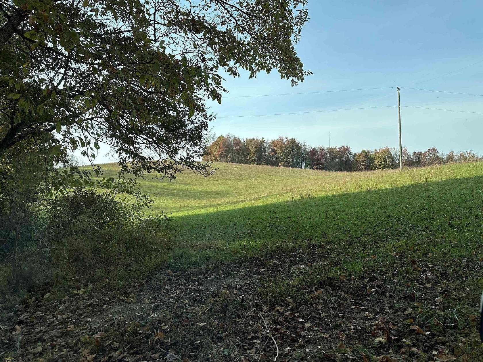 170.74 Acres of Agricultural Land for Sale in Rowlesburg, West Virginia