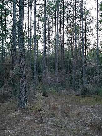 0.66 Acres of Residential Land for Sale in Samson, Alabama