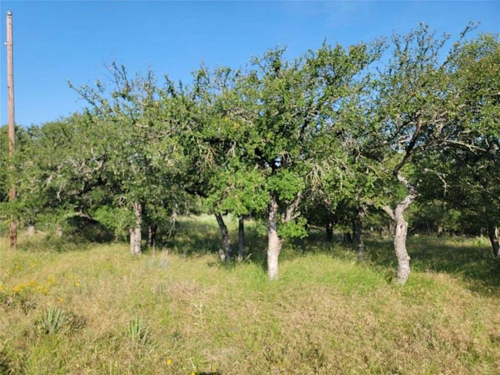 0.981 Acres of Residential Land for Sale in May, Texas