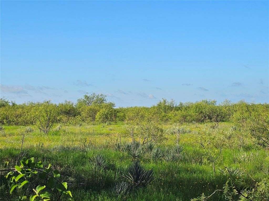 13.79 Acres of Commercial Land for Sale in Brownwood, Texas