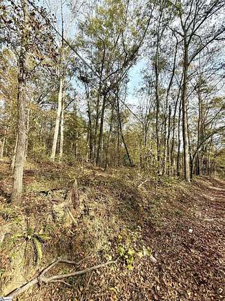 20.27 Acres of Land for Sale in Cowpens, South Carolina