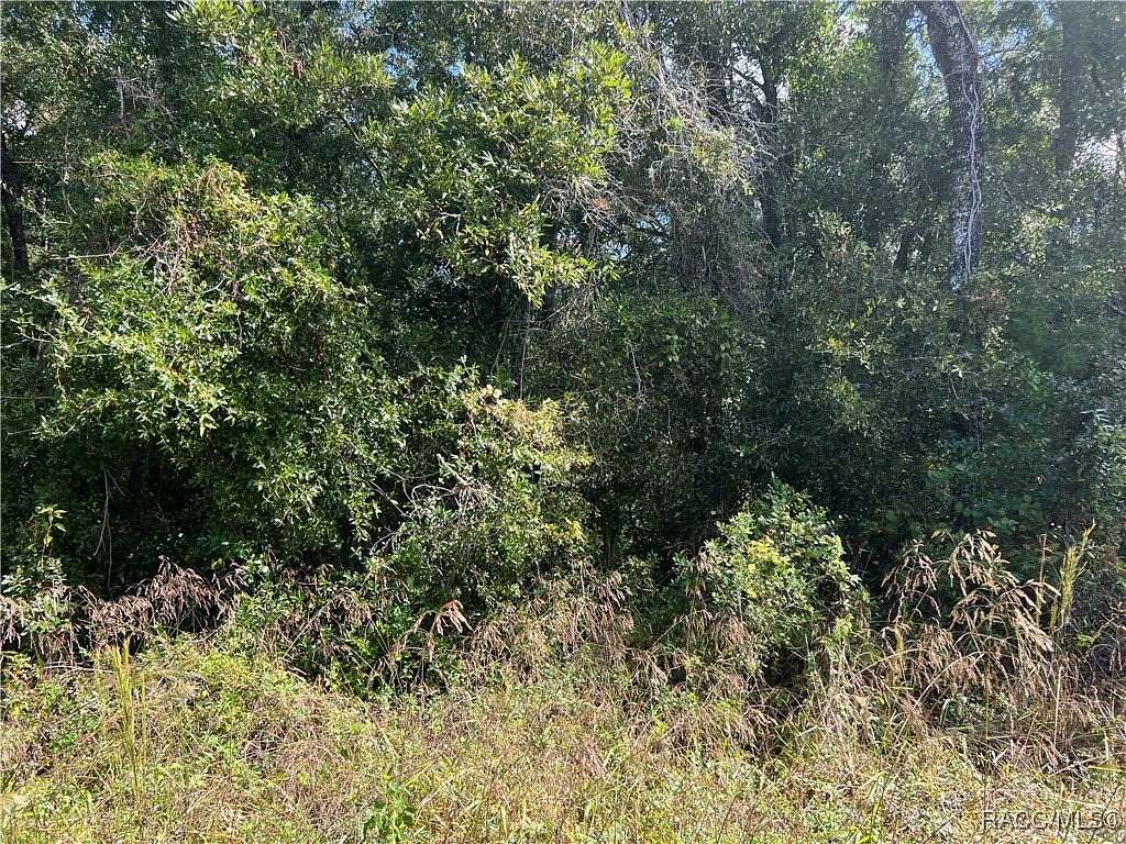 0.22 Acres of Residential Land for Sale in Inverness, Florida