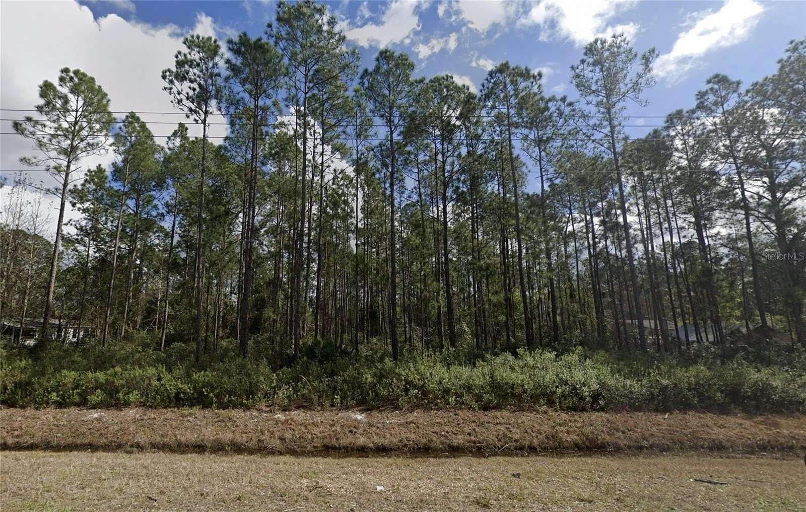 1.12 Acres of Residential Land for Sale in Hastings, Florida