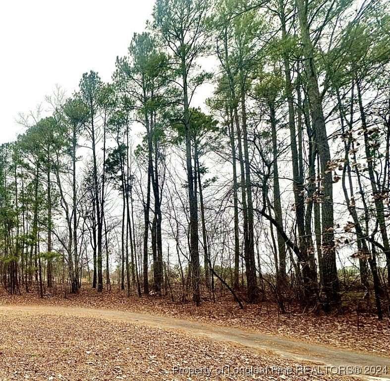 0.85 Acres of Residential Land for Sale in West End, North Carolina