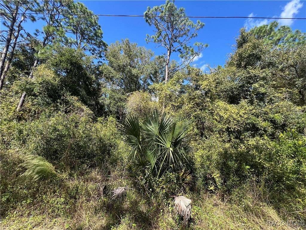 0.22 Acres of Residential Land for Sale in Inverness, Florida