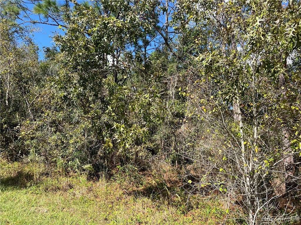 0.33 Acres of Residential Land for Sale in Inverness, Florida