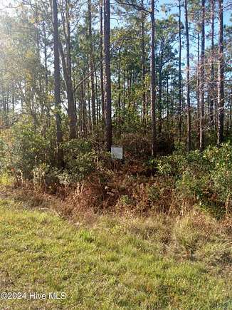 0.25 Acres of Land for Sale in Boiling Spring Lakes, North Carolina