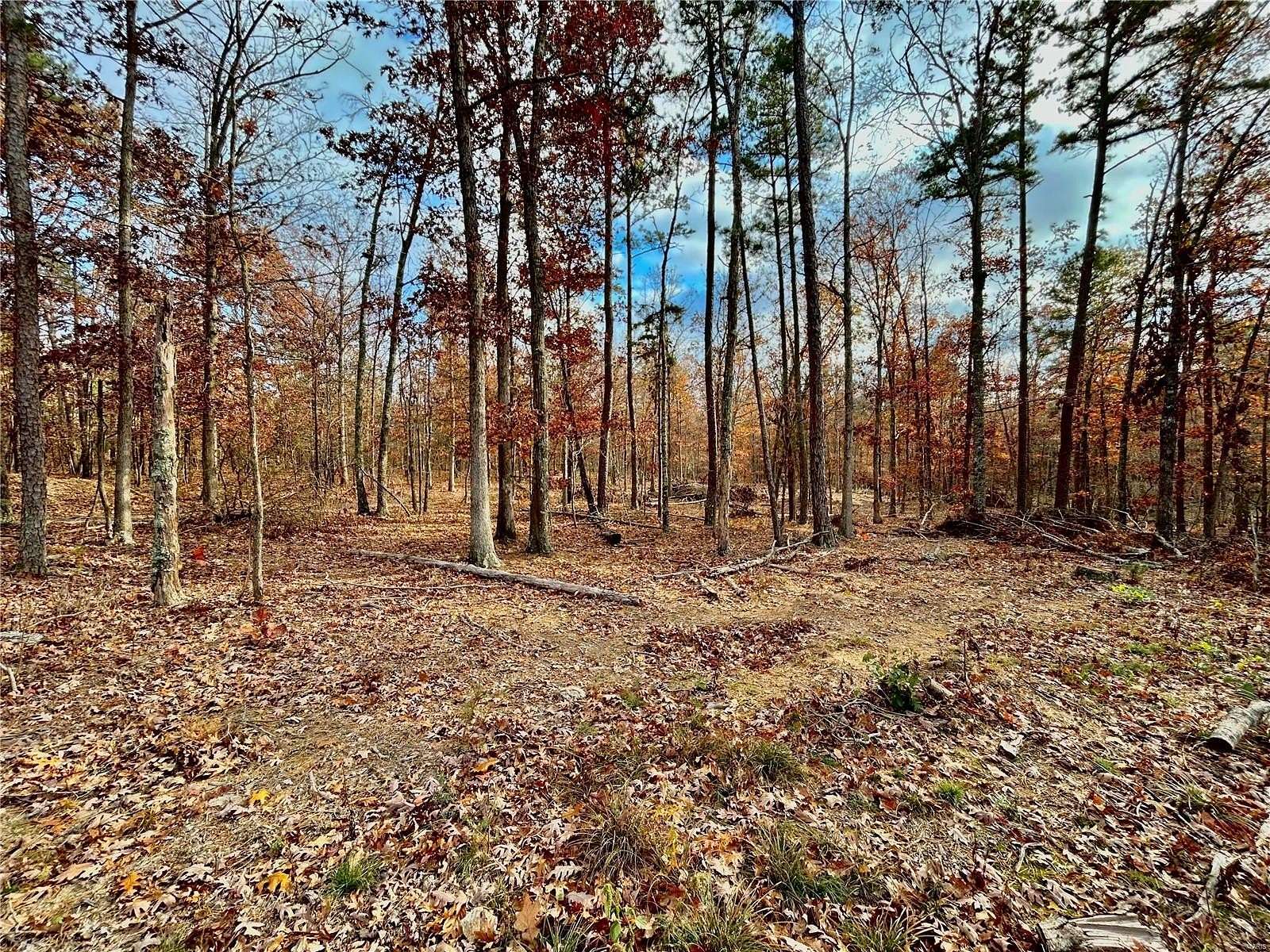 4 Acres of Residential Land for Sale in Licking, Missouri