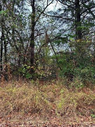 10.5 Acres of Land for Sale in Hatfield, Arkansas