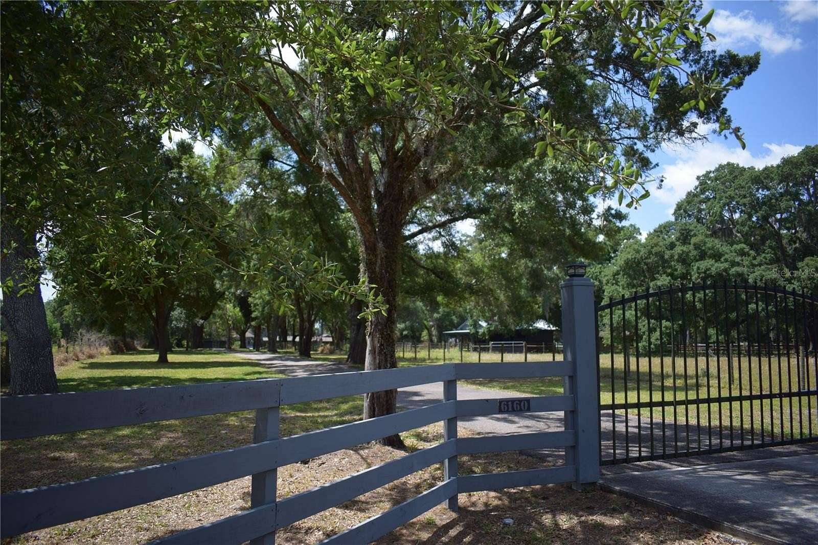 5 Acres of Residential Land with Home for Lease in Odessa, Florida