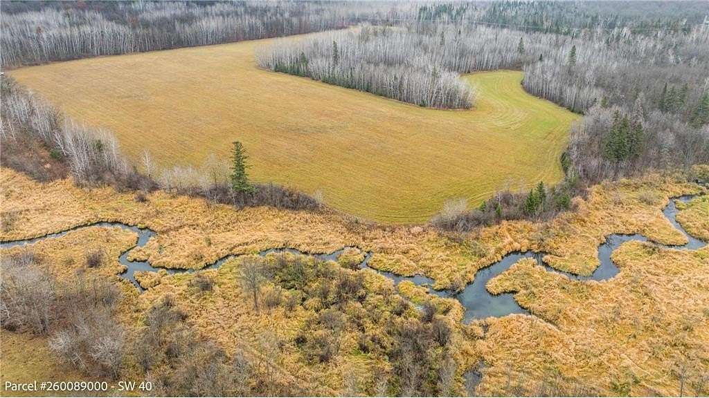 40 Acres of Agricultural Land for Sale in Menahga, Minnesota