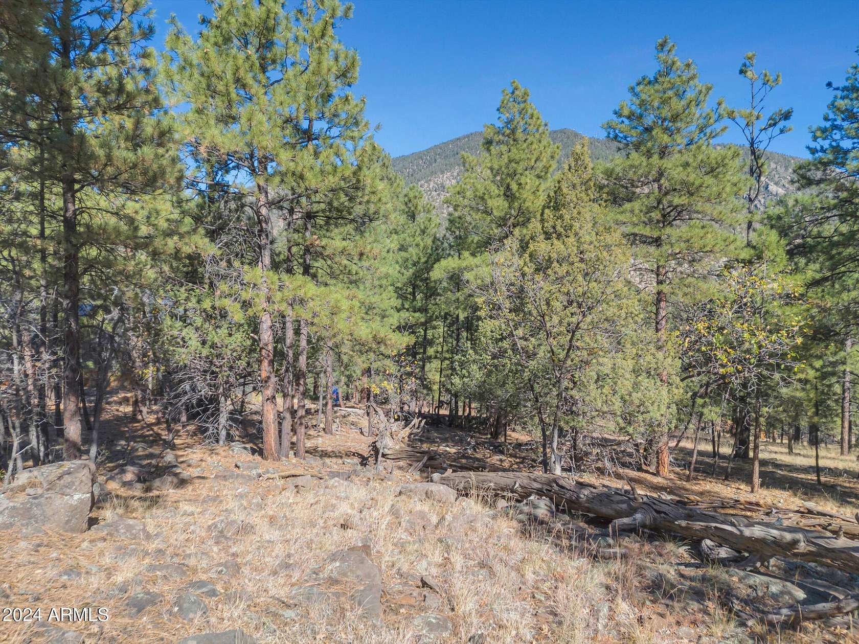 3.45 Acres of Residential Land for Sale in Flagstaff, Arizona