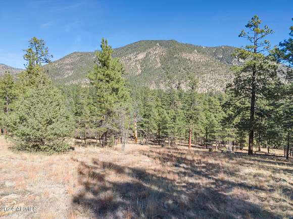 3.45 Acres of Residential Land for Sale in Flagstaff, Arizona