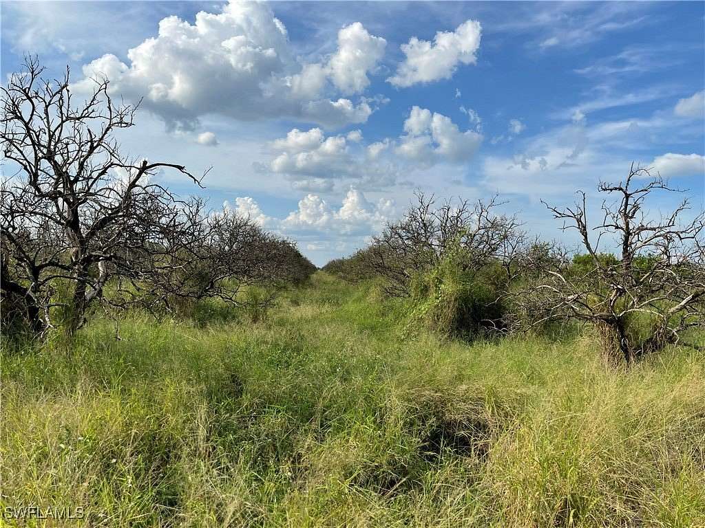 40 Acres of Agricultural Land for Sale in LaBelle, Florida