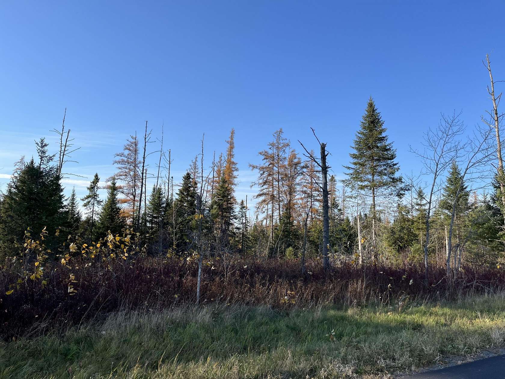 22 Acres of Land for Sale in Caribou, Maine