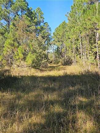 22 Acres of Recreational Land for Sale in Coden, Alabama