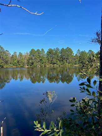 22 Acres of Recreational Land for Sale in Coden, Alabama