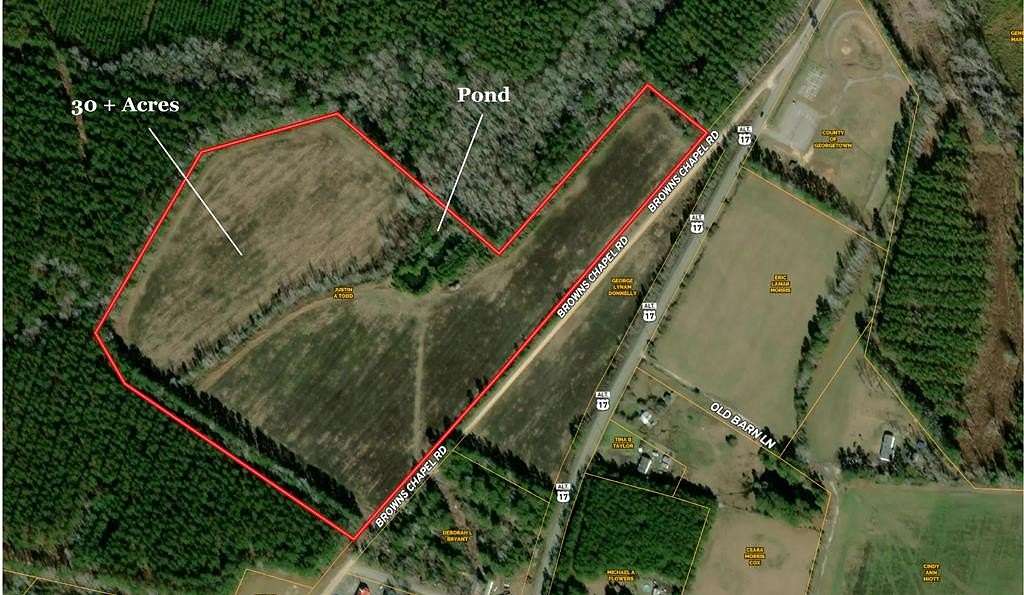 30.5 Acres of Agricultural Land for Sale in Andrews, South Carolina