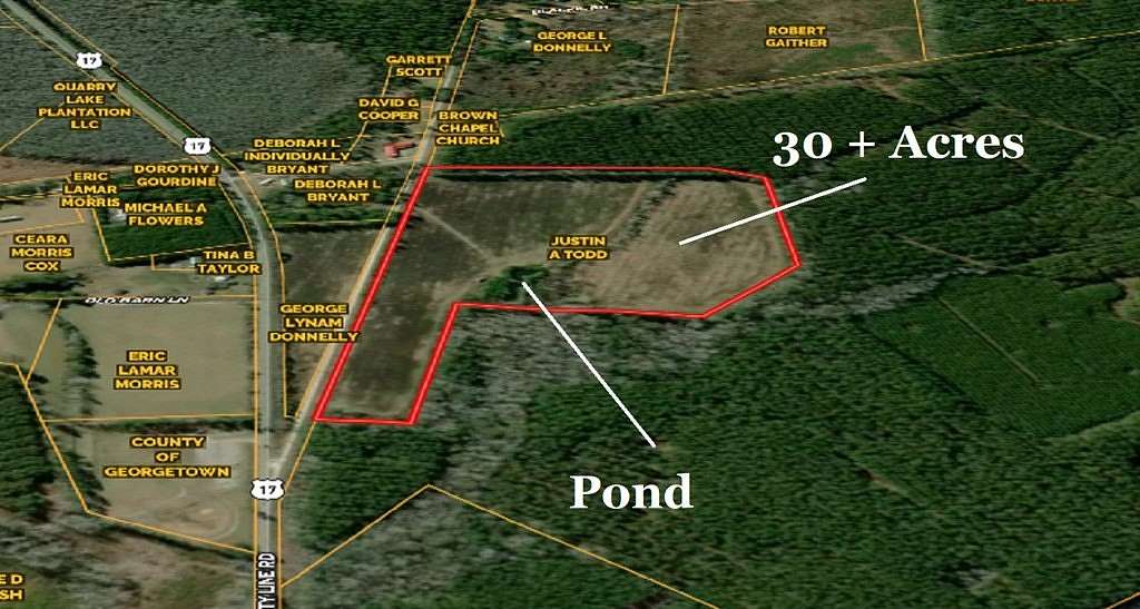 30.5 Acres of Agricultural Land for Sale in Andrews, South Carolina