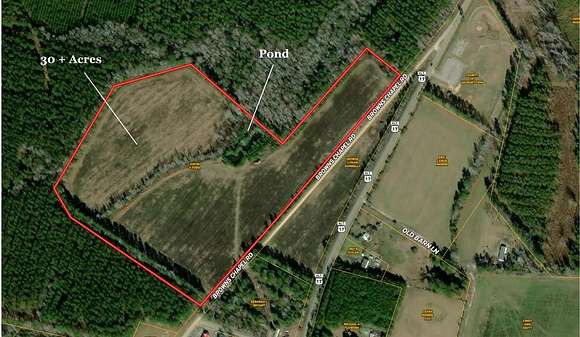 30.5 Acres of Agricultural Land for Sale in Andrews, South Carolina