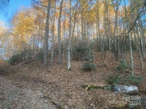 4.28 Acres of Land for Sale in Newland, North Carolina